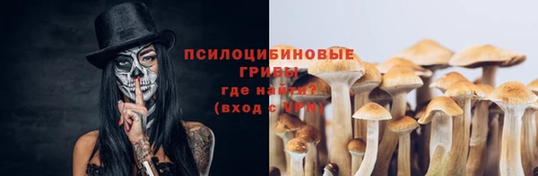 мескалин Долгопрудный